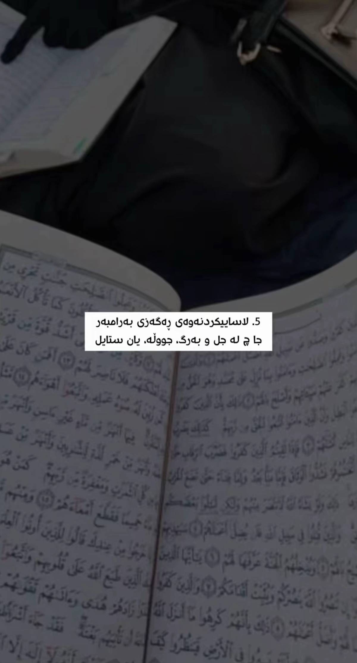 وێنە 6