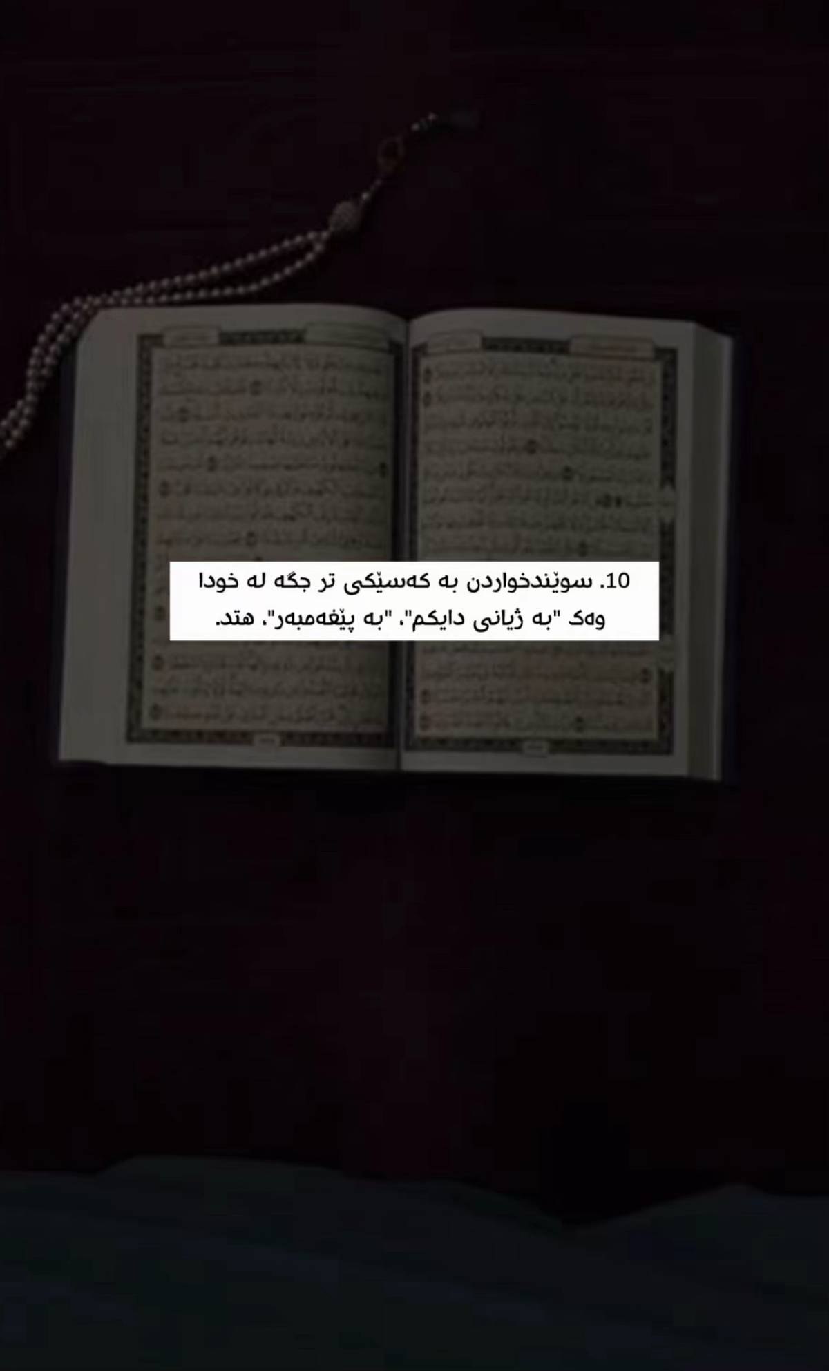 وێنە 11
