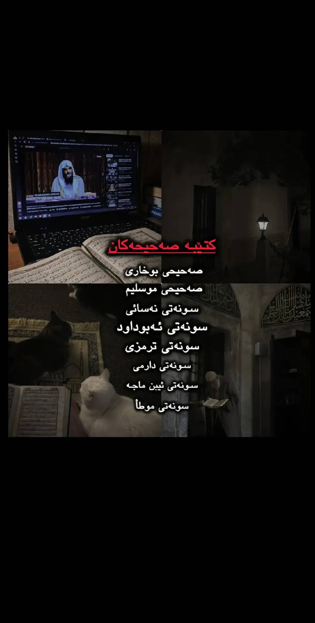 وێنە 6